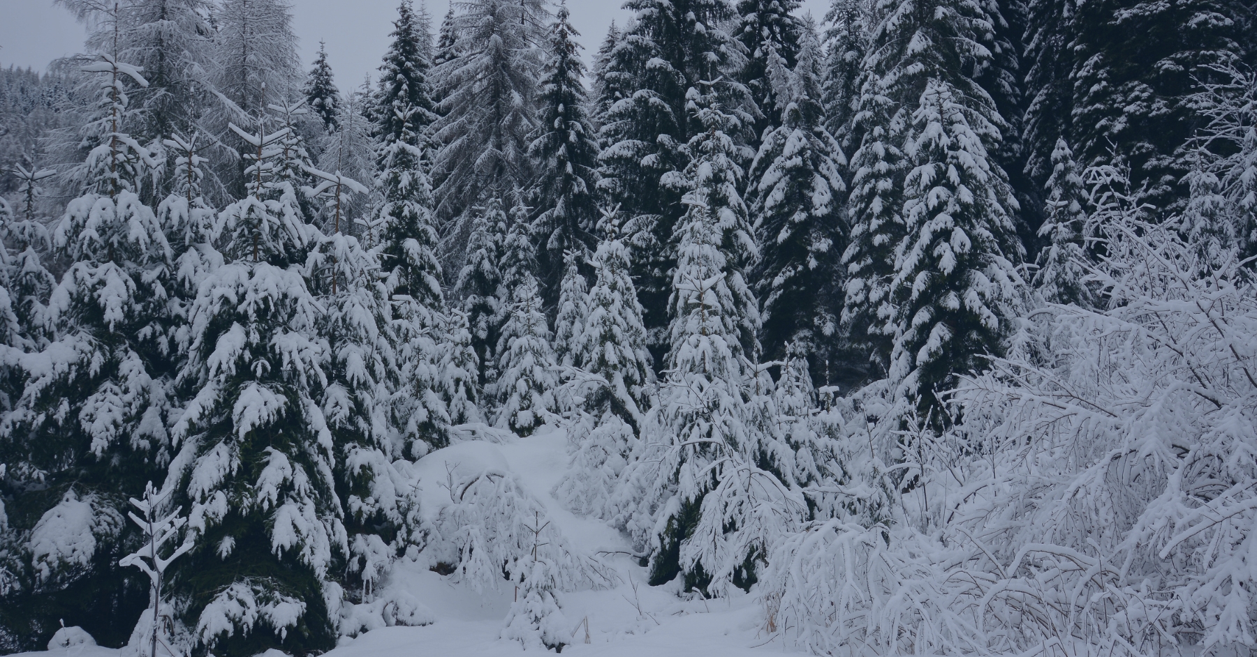 Une relâche 2026 qui s’annonce plus tranquille