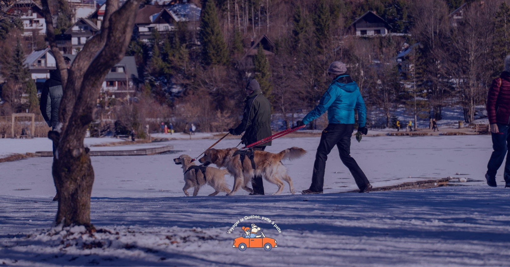 1er Symposium sur le tourisme canin au Québec : Un événement inédit qui aura du chien
