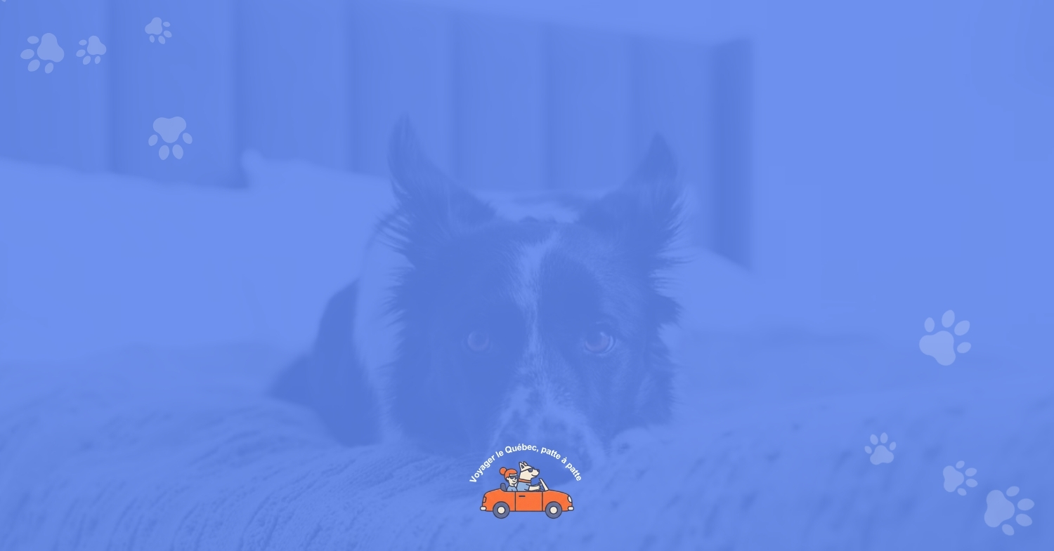 Tourisme canin : plus que quelques jours pour réserver sa place au premier symposium québécois